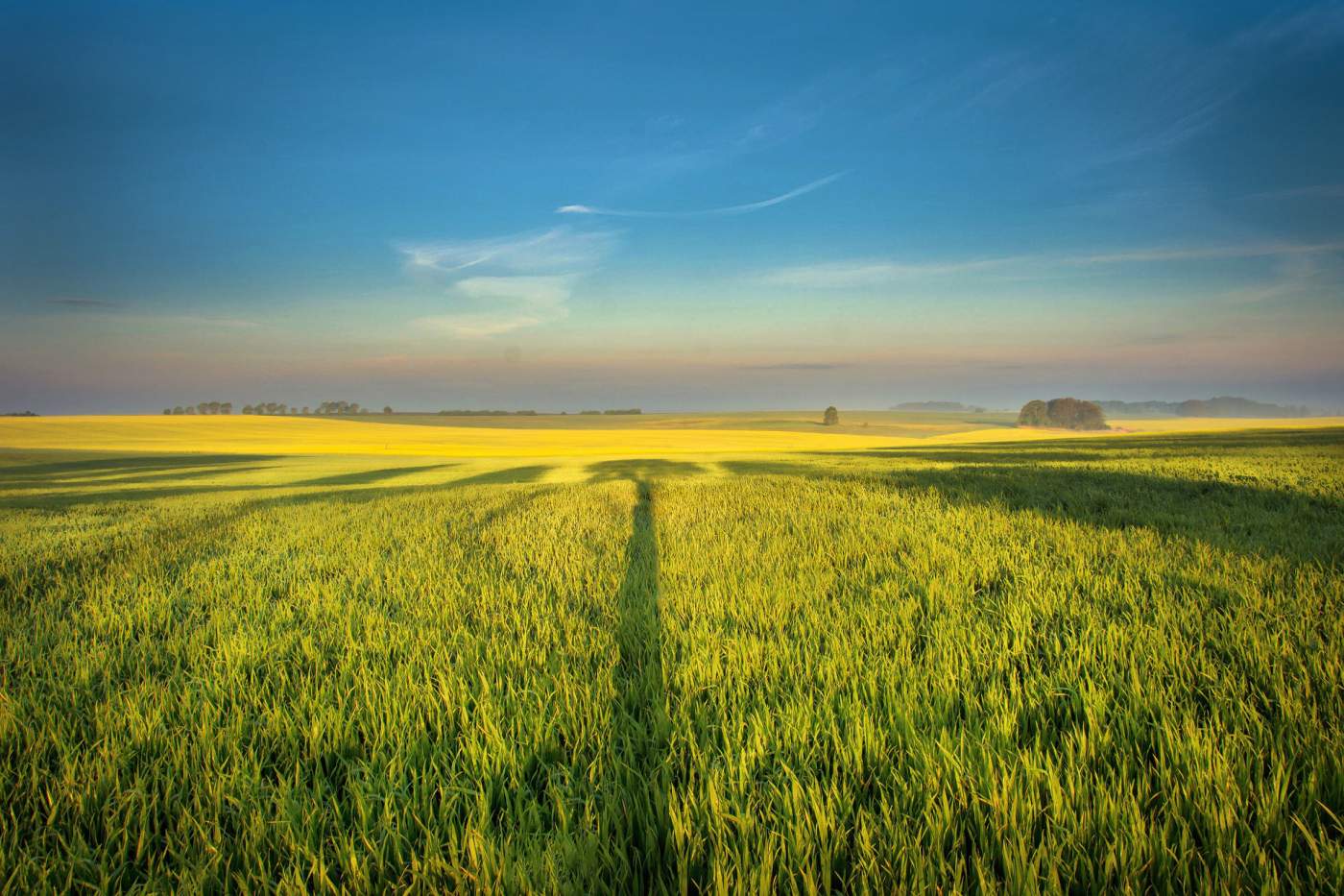 14th Petroleum Industry Meeting - Polish Biofuel Market &